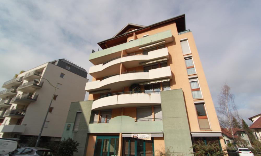 Vente appartement 2 pièces à ANNECY - réf. 3436 ME - Photo 4