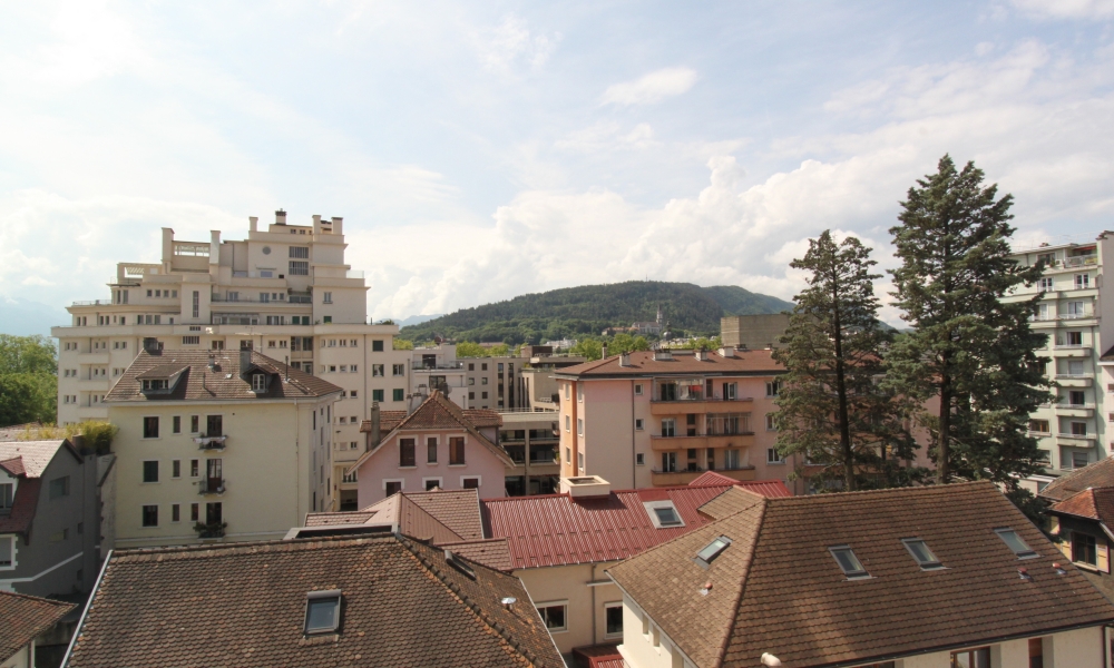 Vente appartement 3 pièces à ANNECY - réf. 3625 CO - Photo 4