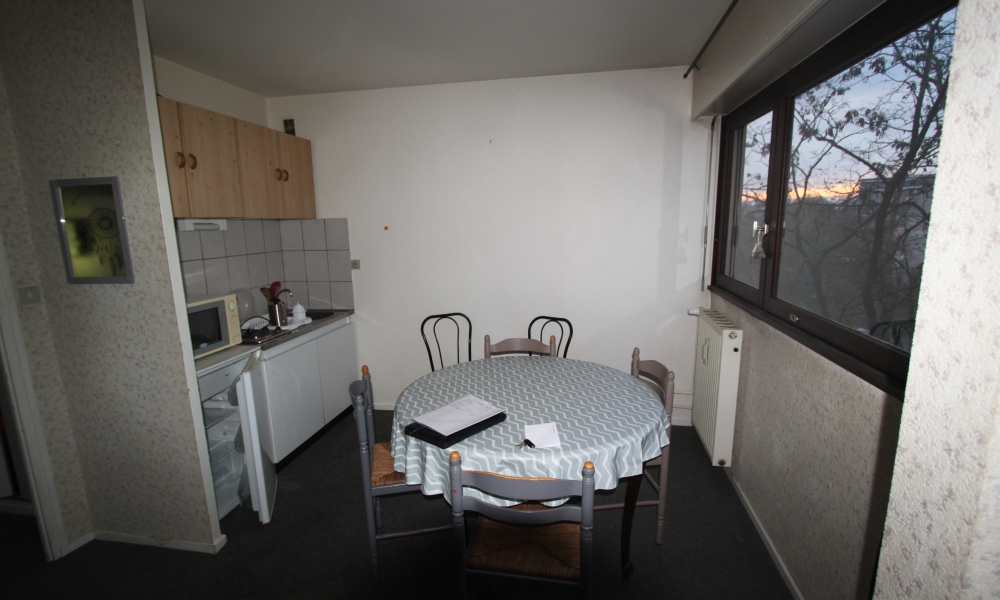 Vente appartement 1 pièces à SEYNOD - réf. 3836 TO - Photo 3