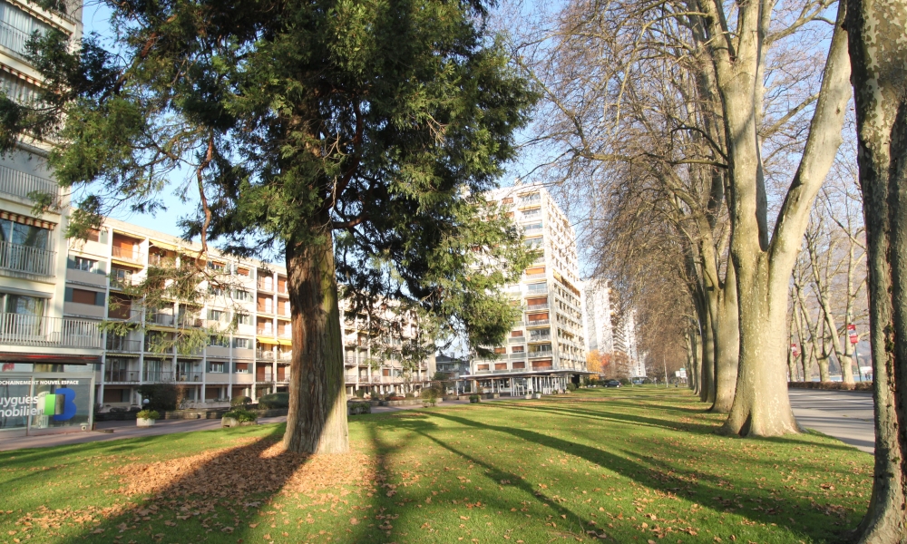 Vente appartement 4 pièces à ANNECY ALBIGNY - Photo 6