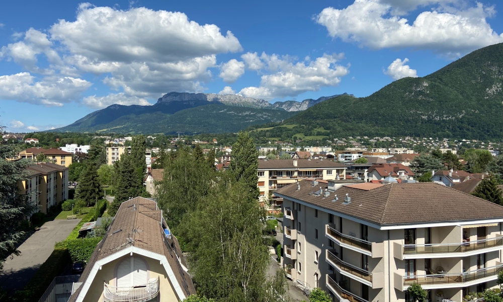 Vente ATTIQUE de 6 pièces ANNECY - Photo 5