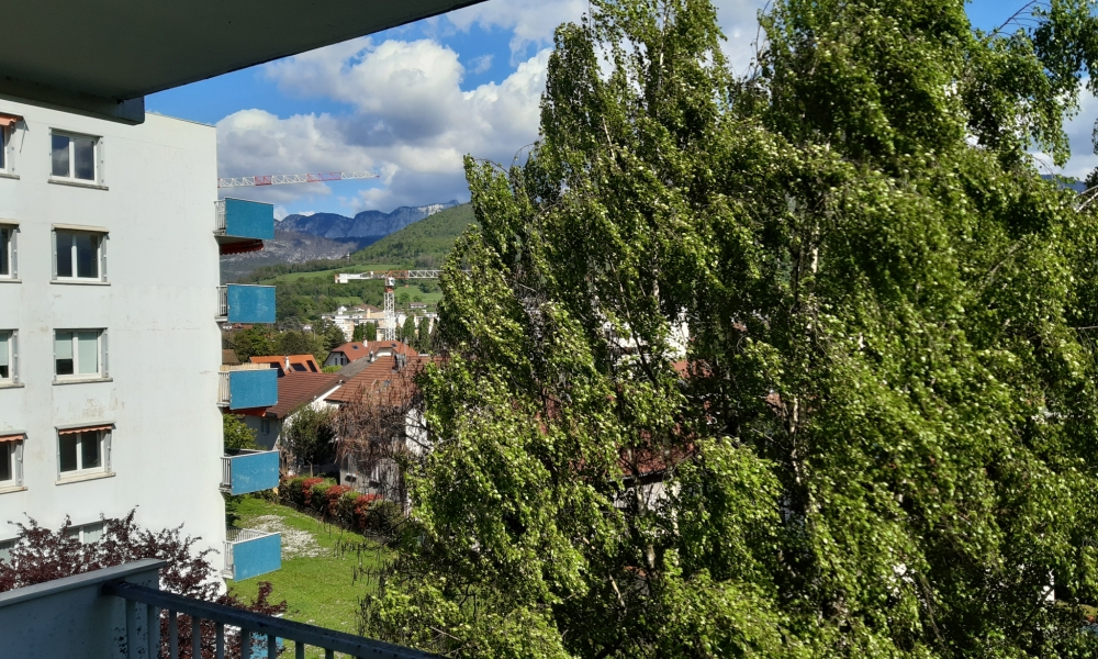 Location appartement 2 pièces à Annecy - réf. 4759-50 - Photo 7