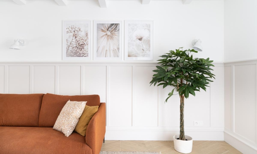 Image d'un location maison 3 pièces à 2020€ à annecy (74000)