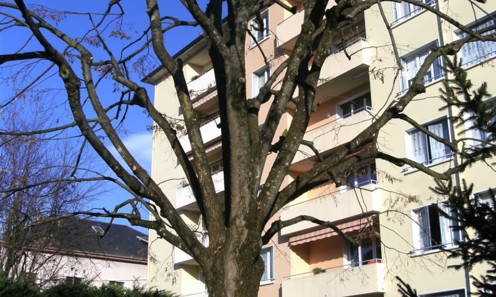 Location appartement 4 pièces à Rumilly - réf. 3385-1 - Photo 1