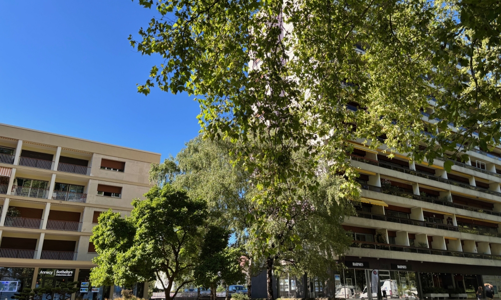 Vente appartement 4 pièces à Annecy - réf. 4698 DM - Photo 1