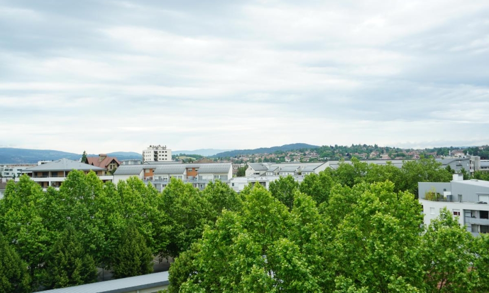 Location appartement Annecy 4 pièces 105 m2 - réf. 6036 - Photo 7