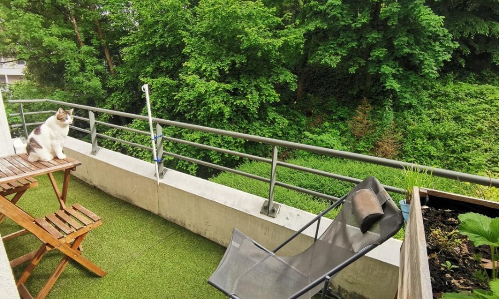 Location appartement Chambery 2 pièces 31 m2 - réf. 6258 - Photo 3