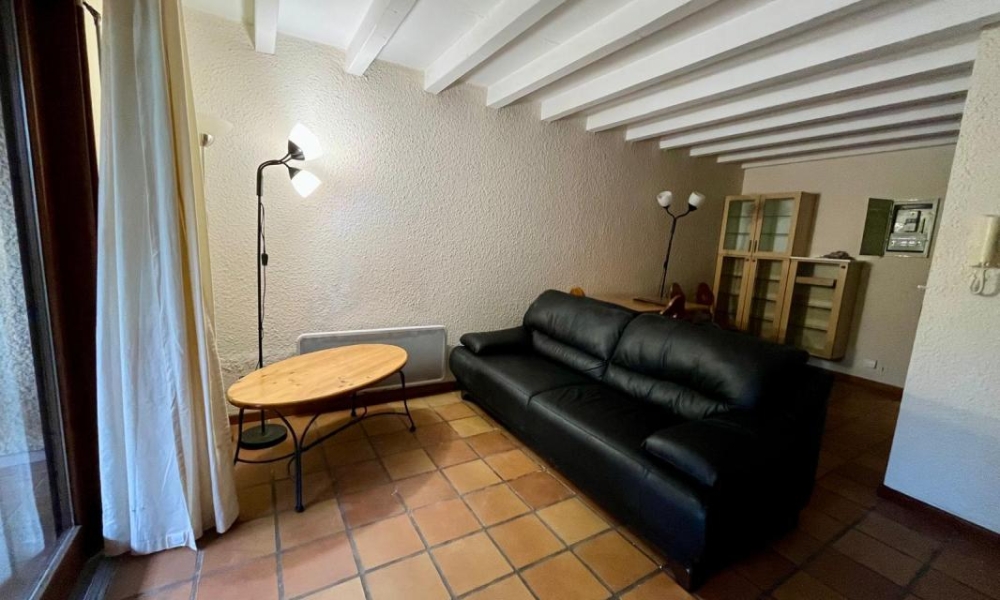 Location appartement Epagny Metz Tessy 1 pièces 29 m2 - réf. 6229 - Photo 3