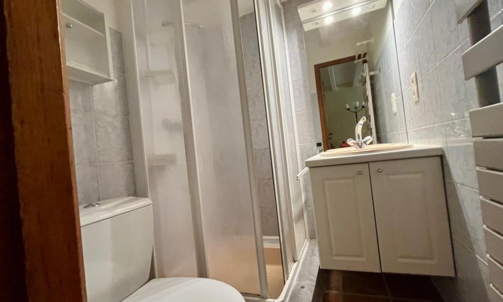 Location appartement Epagny Metz Tessy 1 pièces 29 m2 - réf. 6229 - Photo 6