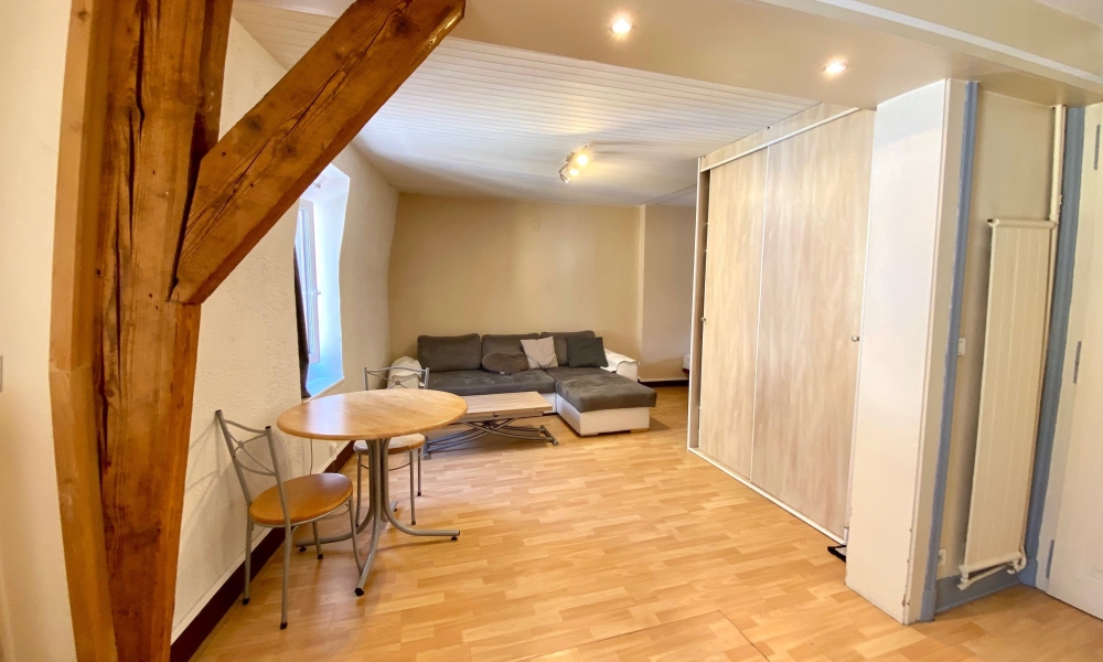 Vente appartement 1 pièce à Annecy - réf. 4747KA - Photo 7 Vente appartement 1 pièce à Annecy - réf. 4747KA - Photo 7