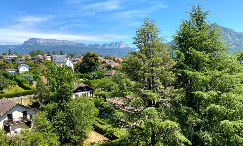 Vente appartement 3 pièces à Annecy-le-Vieux - réf. 4677 SAS - Photo 5