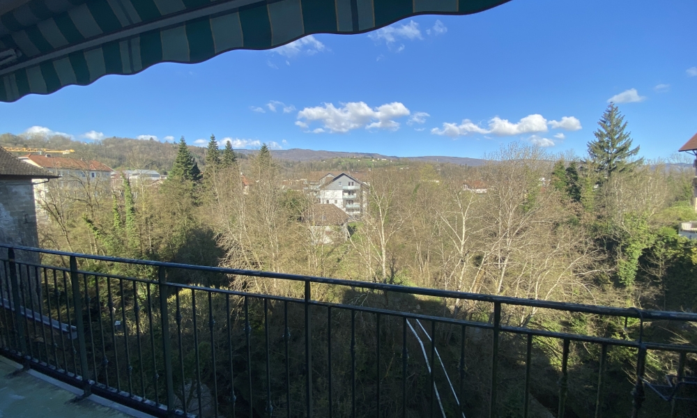 Vente appartement 3 pièces à Rumilly - réf. 3783 - Photo 4