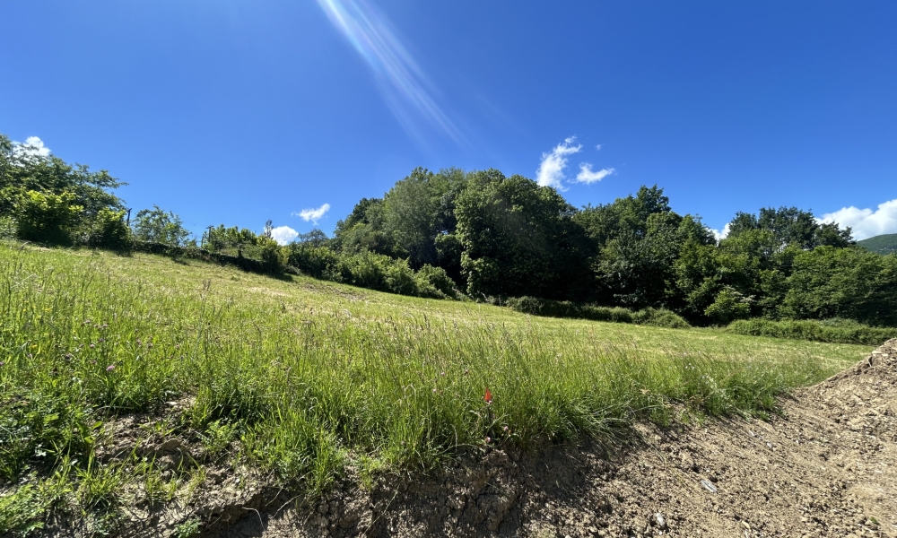 Vente terrain 0 m² à Lornay - réf. 3756 - Photo 1