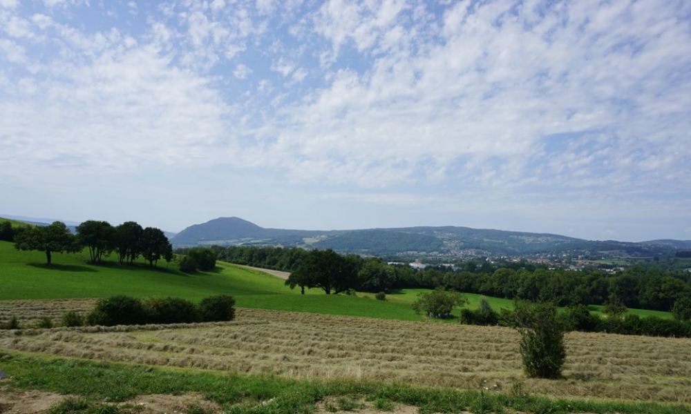 Location appartement Annecy Le Vieux 2 pièces 46 m2 - réf. 6365 - Photo 2