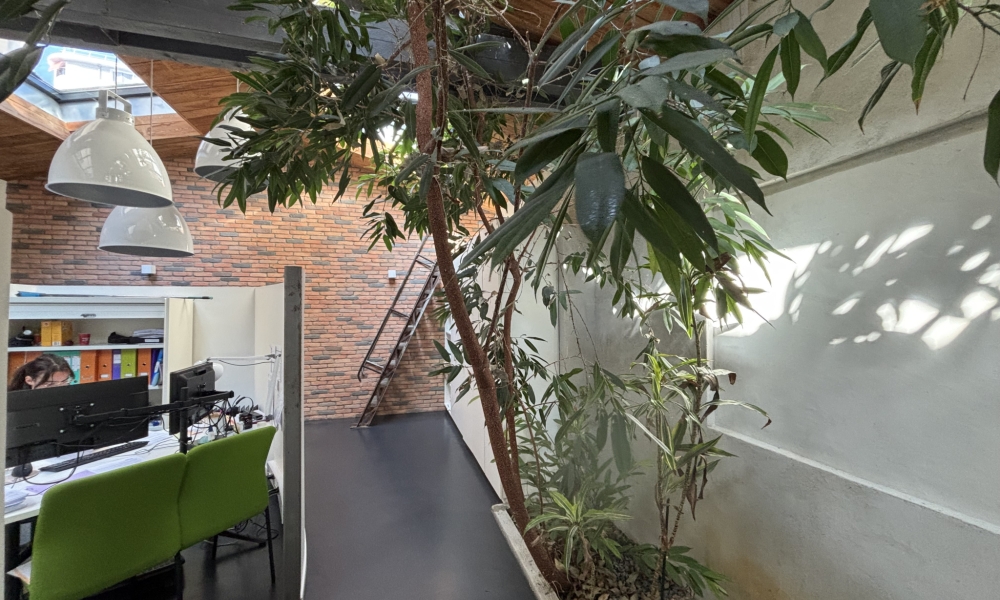 Vente immeuble à Annecy - réf. 4693 CO - Photo 3