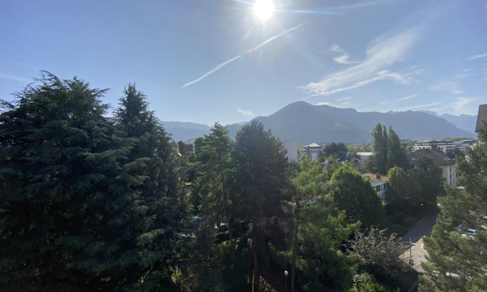 Location appartement Annecy 1 pièces 33 m2 - réf. 7171 - Photo 4