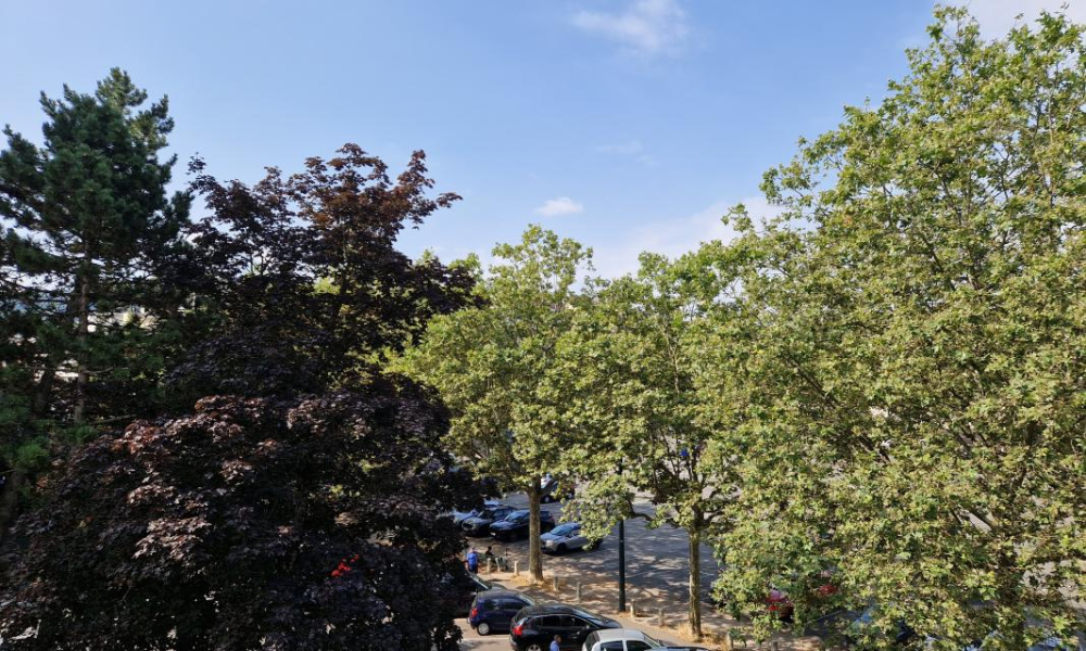 Location appartement Annecy 3 pièces 68 m2 - réf. 7322 - Photo 3