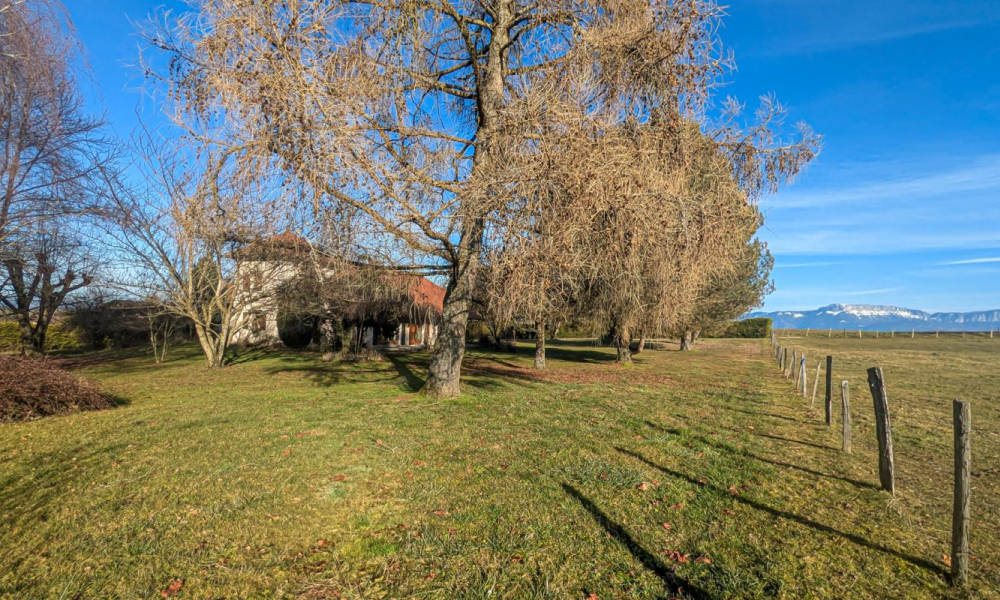 Location maison Sillingy 4 pièces 141 m2 - réf. 7032 - Photo 13