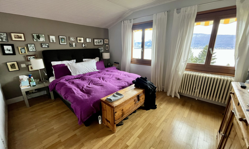 Vente maison 9 pièces à Veyrier-du-Lac - réf. 4825 SL - Photo 9