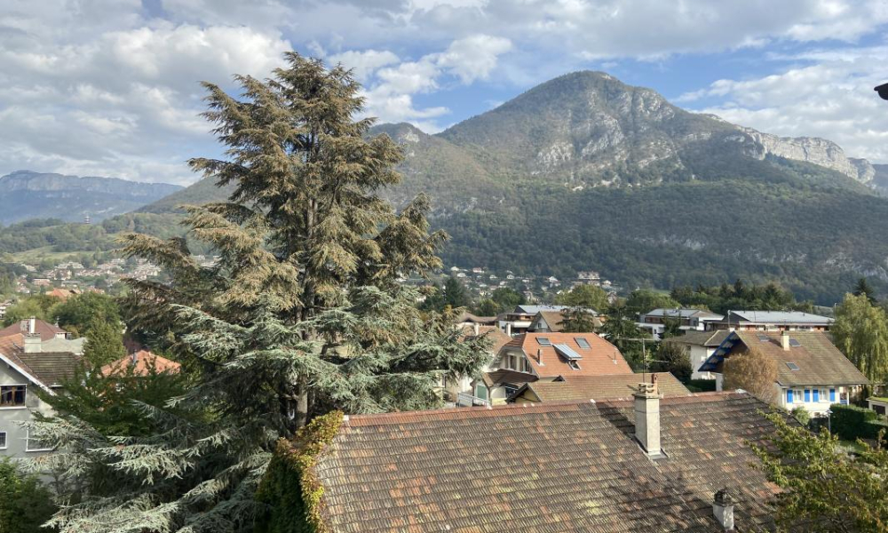 Location appartement Annecy Le Vieux 1 pièces 28 m2 - réf. 7428 - Photo 4