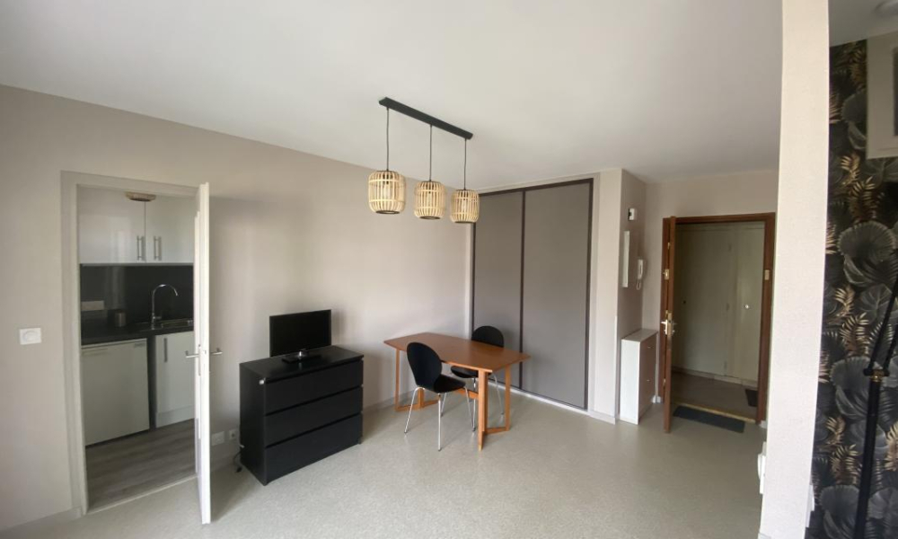 Location appartement Annecy Le Vieux 1 pièces 28 m2 - réf. 7428 - Photo 5