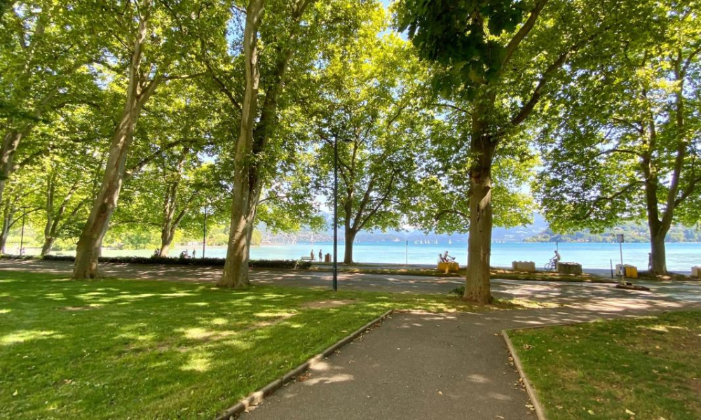 Location appartement Annecy 2 pièces 55 m2 - réf. 7434 - Photo 3