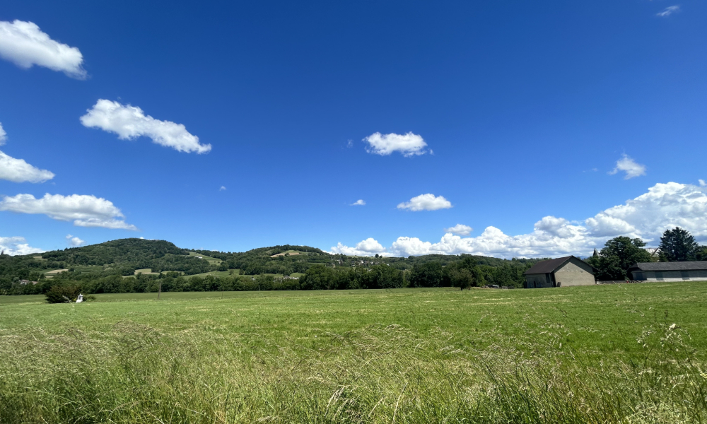 Vente terrain 748 m² à Lornay - réf. 3756 - Photo 2
