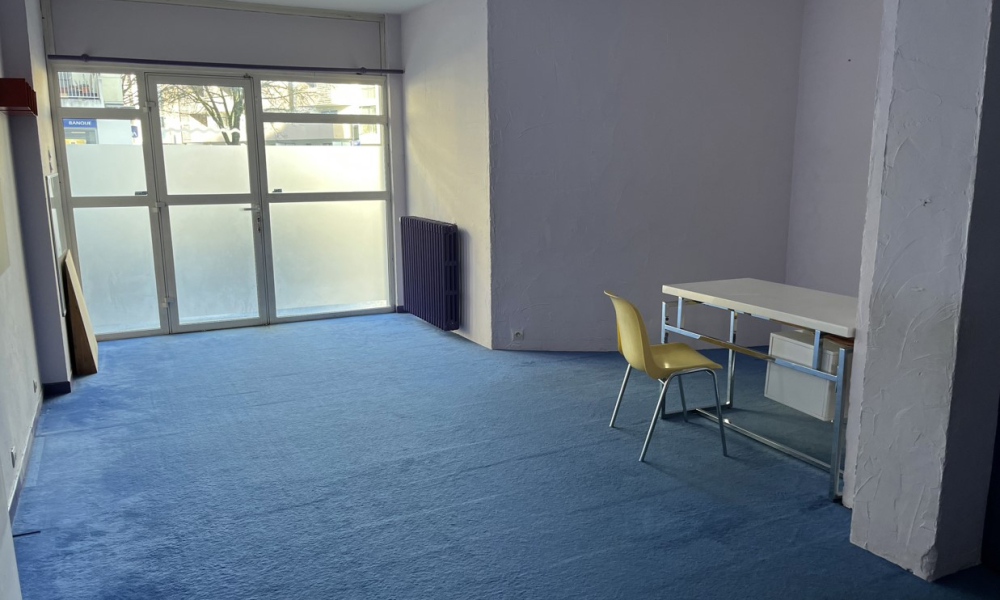 LOCAL PROFESSIONNEL OU COMMERCIAL  - Photo 2