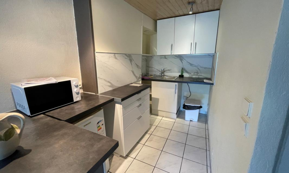 Location appartement Rumilly 1 pièces 32 m2 - réf. 7420 - Photo 3