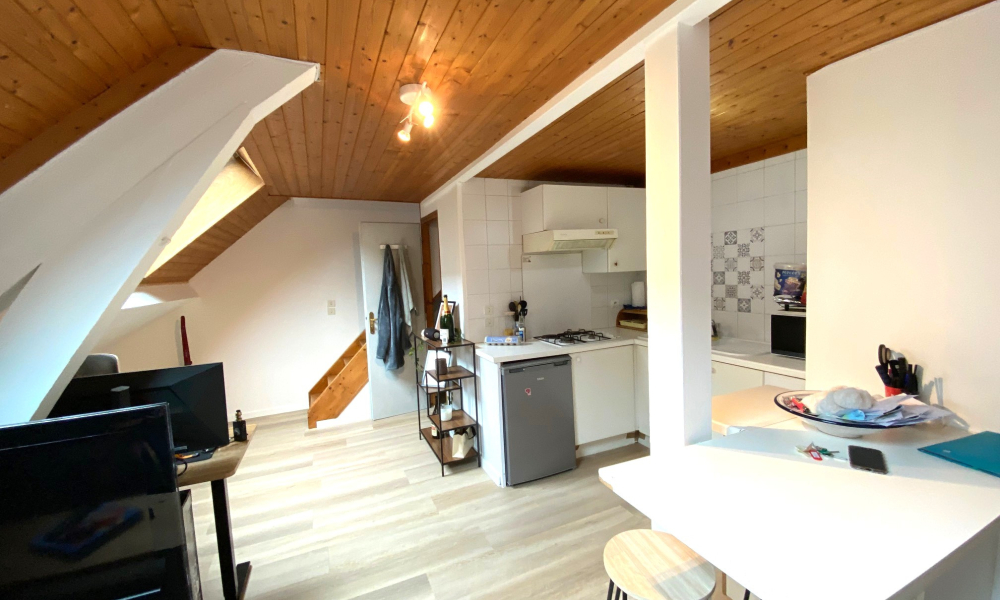 Vente appartement 2 pièces à Annecy - réf. 4780 BAU - Photo 4