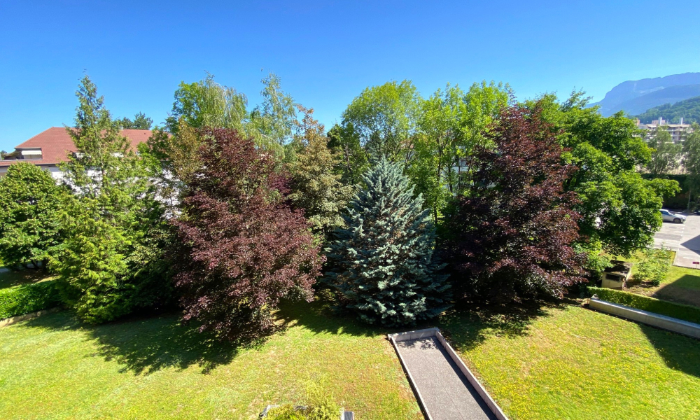 Vente appartement 3 pièces à Annecy - réf. 4890 DAV - Photo 10