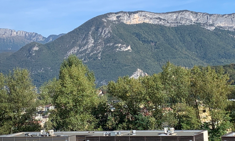Vente appartement 2 pièces à Annecy - réf. 4905 ROU - Photo 3