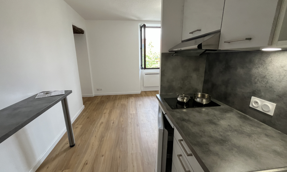 Vente appartement 1 pièce à Annecy - réf. 4999 MIR - Photo 8