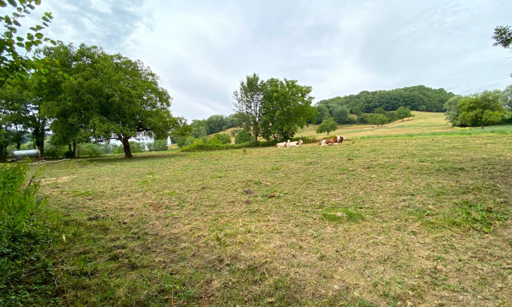 Vente terrain à batir à Vaulx - réf. 4912 VL2 - Photo 1
