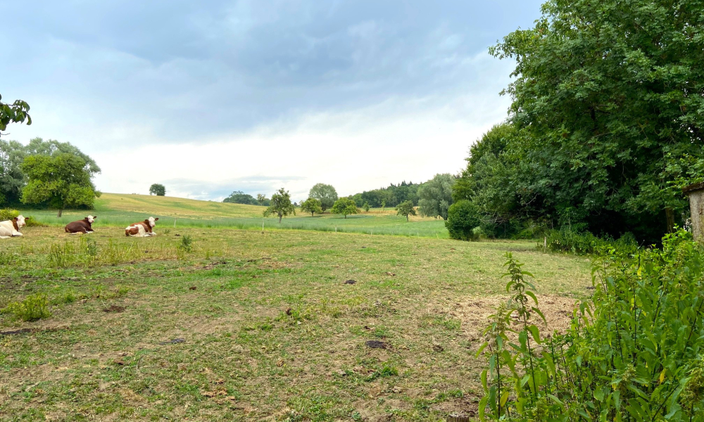 Vente terrain 639 m² à Vaulx - réf. 4912 VL1 - Photo 3