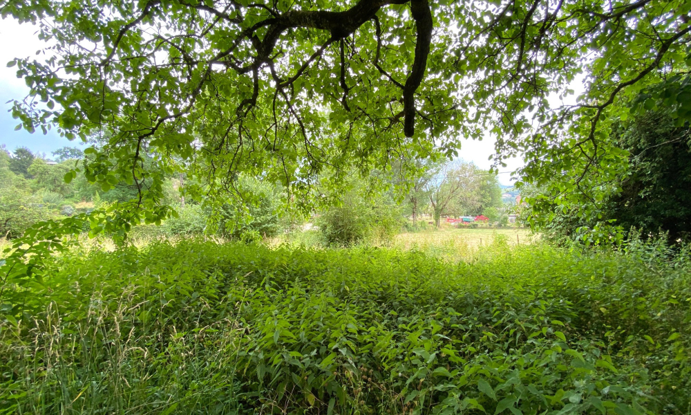 Vente terrain 639 m² à Vaulx - réf. 4912 VL1 - Photo 2