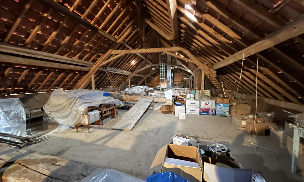 A VENDRE FERME AU MONTCEL 73 - Photo 9