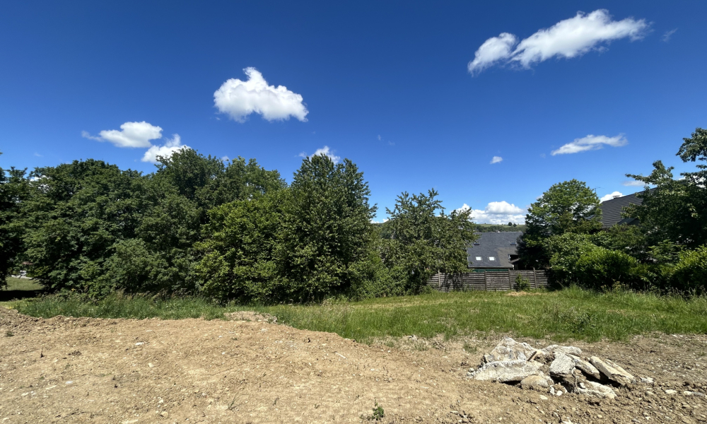 Vente terrain 748 m² à Lornay - réf. 3756 - Photo 3